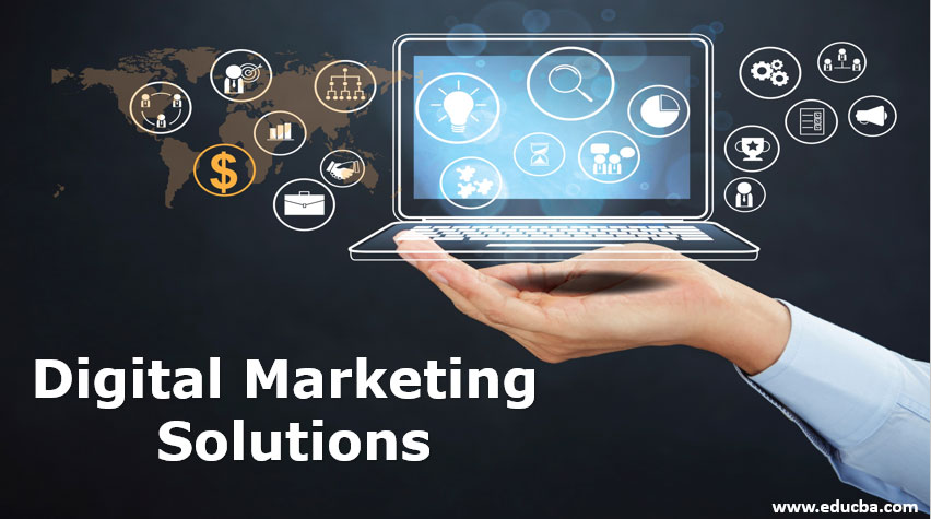 Comprehensive Digital Marketing Solutions Products
